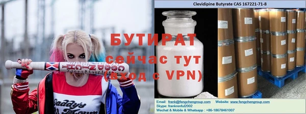 индика Кулебаки