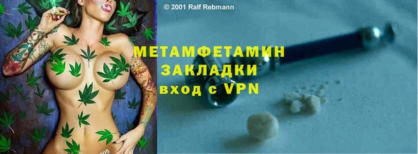 индика Кулебаки