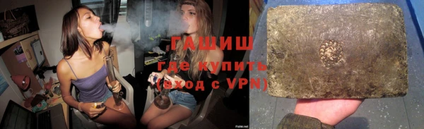 индика Кулебаки