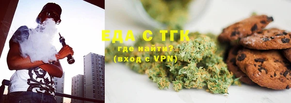 индика Кулебаки