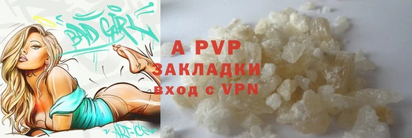 индика Кулебаки