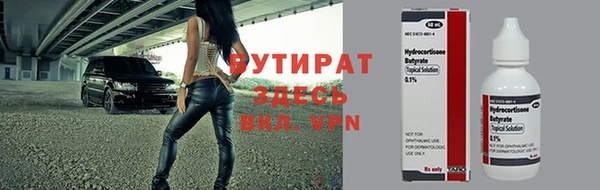 индика Кулебаки