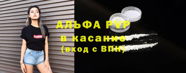 индика Кулебаки