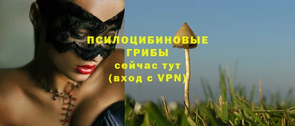 дживик Куйбышев