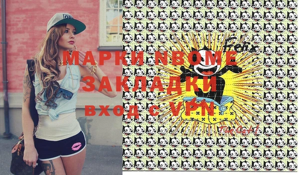 индика Кулебаки