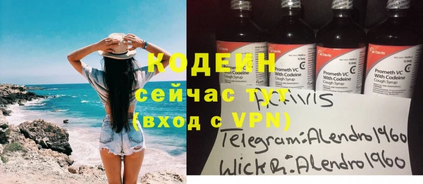 индика Кулебаки
