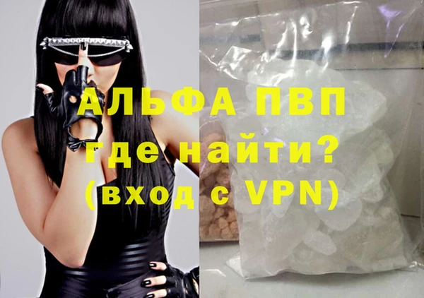 индика Кулебаки