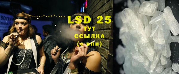 индика Кулебаки