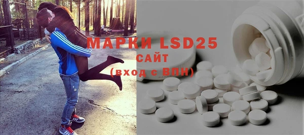 индика Кулебаки