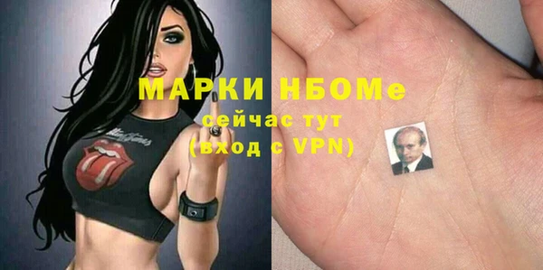 индика Кулебаки
